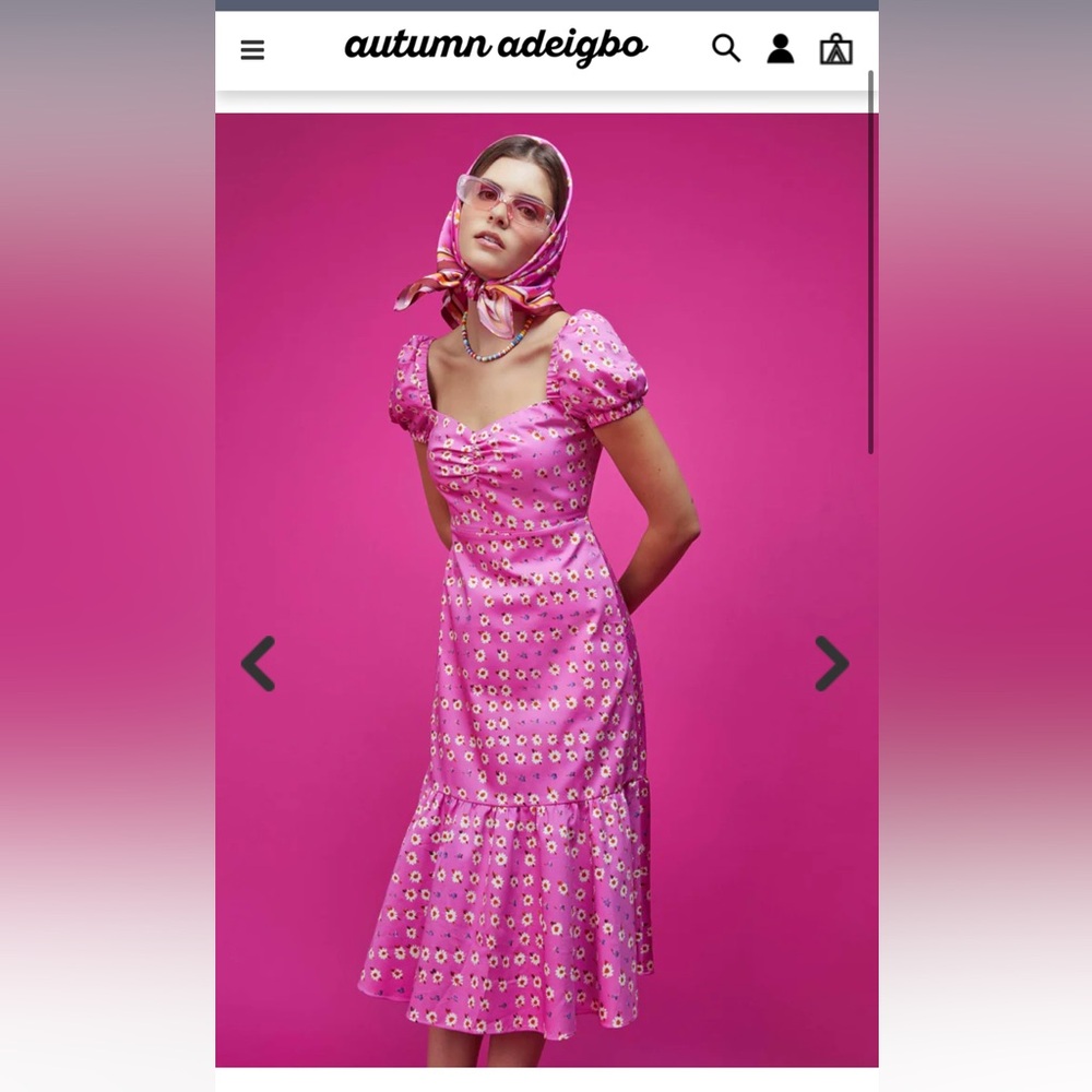 Autumn Adeigbo Courtney Dress size 12 Pink Floral Midi A line sweetheart Pockets